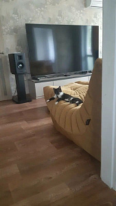 Фото покупателя, оценка 5 - 4